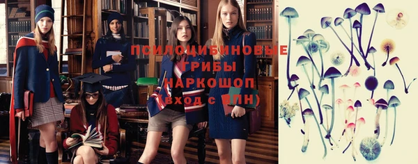 стаф Алексин