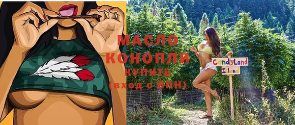 стаф Алексин