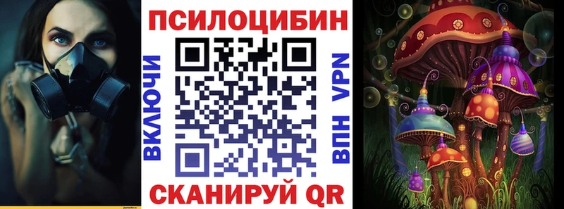 Галлюциногенные грибы мицелий  KRAKEN ТОР  Ардон 